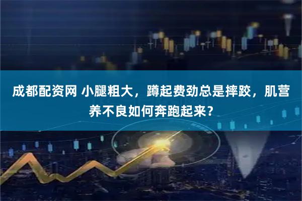 成都配资网 小腿粗大，蹲起费劲总是摔跤，肌营养不良如何奔跑起来？